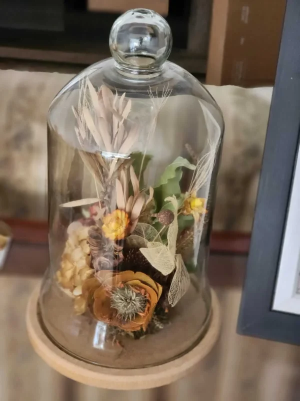 Cúpula de vidro com Flores Secas Desidratadas
