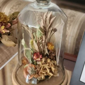 Cúpula de vidro com Flores Secas Desidratadas