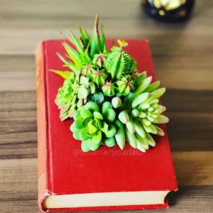 Livro Artesanato Decoração